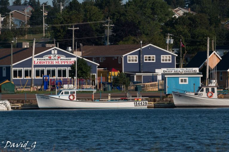 Fisherman’s Wharf Lobster Suppers & Pier 15